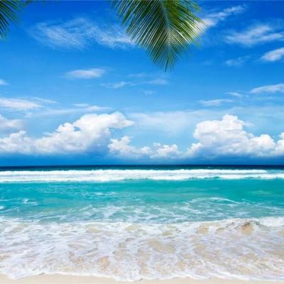 博鱼·体育中国入口