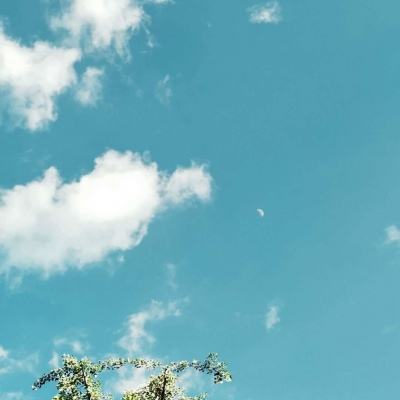 AOA体育官方入口